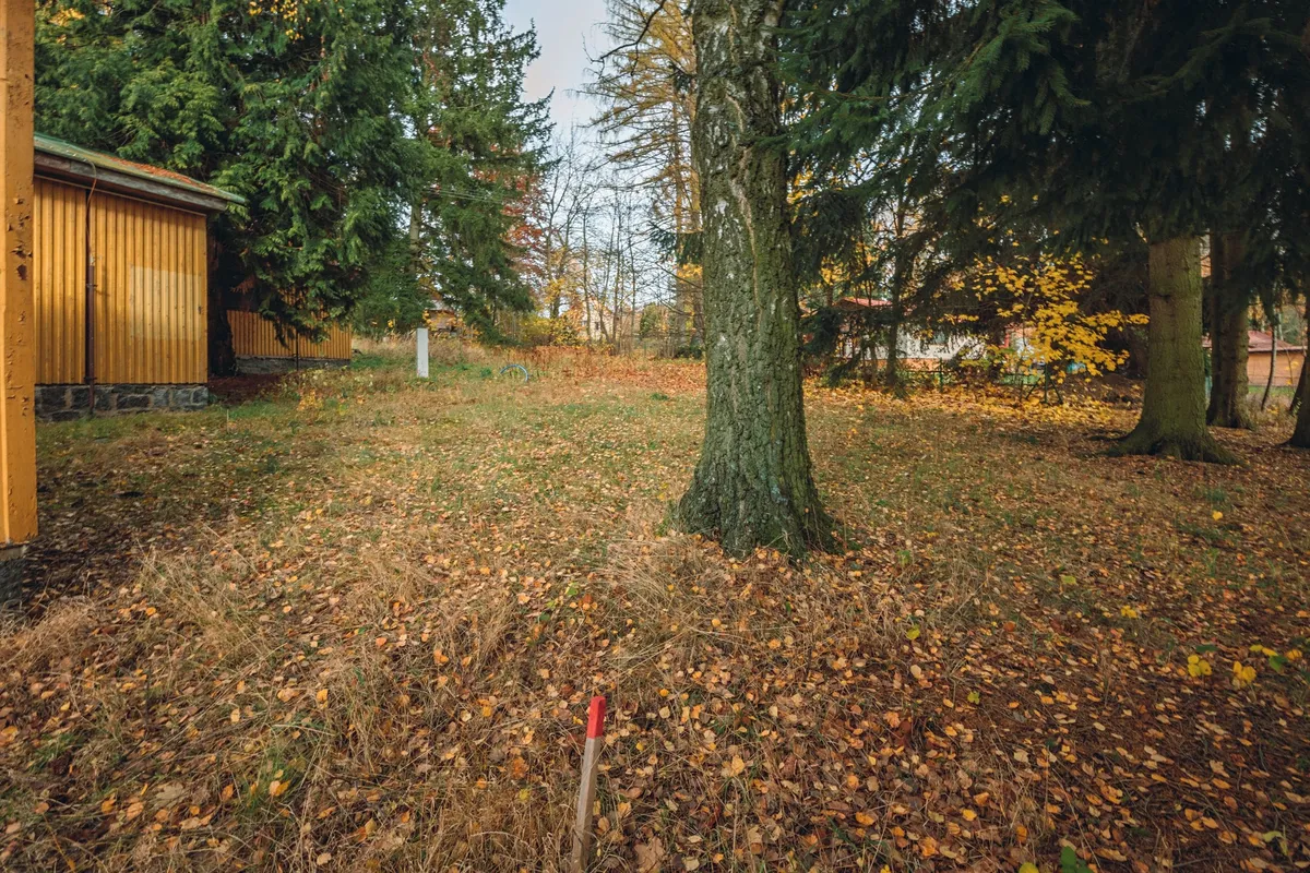 Fotka 16 z 22